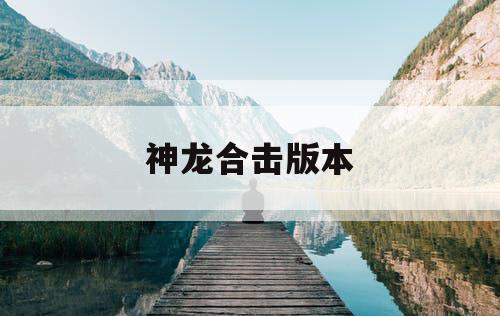 神龙合击版本