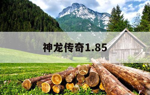 神龙传奇1.85