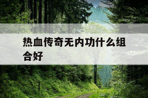 热血传奇无内功什么组合好