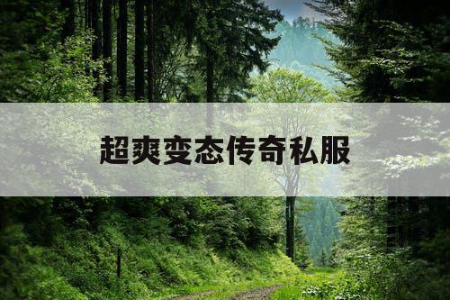 超爽变态传奇私服