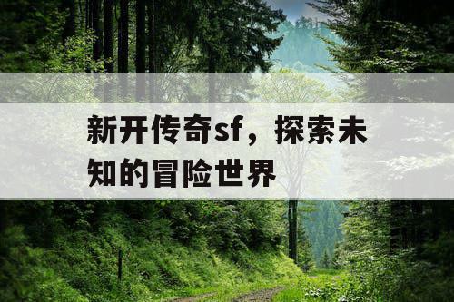 新开传奇sf，探索未知的冒险世界