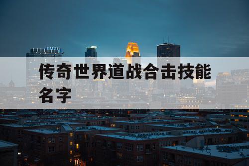传奇世界道战合击技能名字