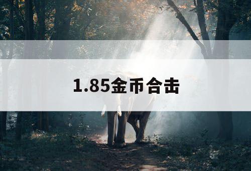 1.85金币合击