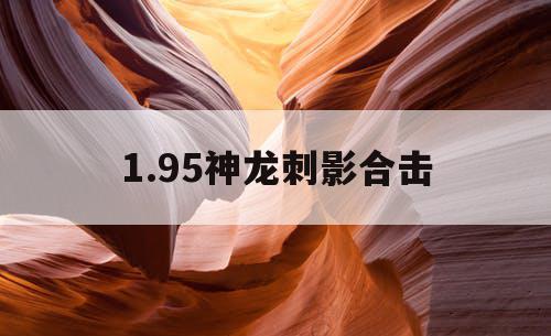 1.95神龙刺影合击