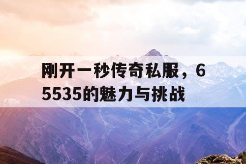 刚开一秒传奇私服，65535的魅力与挑战