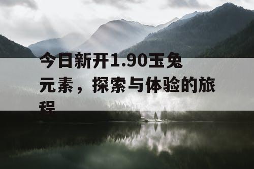 今日新开1.90玉兔元素，探索与体验的旅程