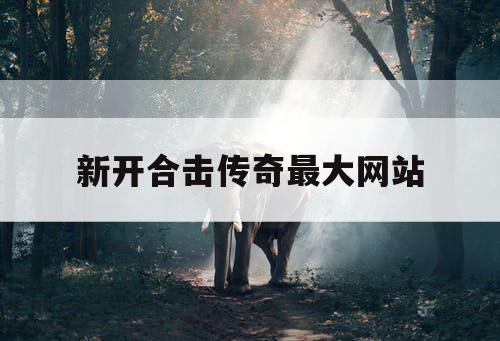 新开合击传奇最大网站