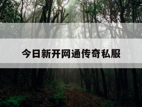 今日新开网通传奇私服