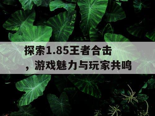 探索1.85王者合击,游戏魅力与玩家共鸣 探索1.85王者合击,游戏魅力与玩家共鸣
