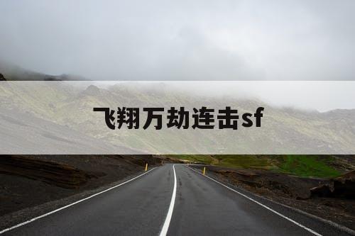 飞翔万劫连击sf