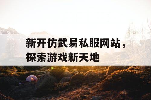 新开仿武易私服网站，探索游戏新天地