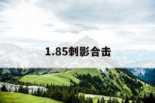 1.85刺影合击