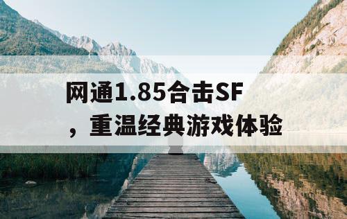 网通1.85合击SF，重温经典游戏体验