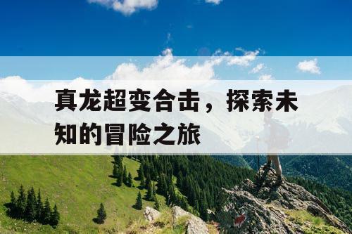 真龙超变合击，探索未知的冒险之旅