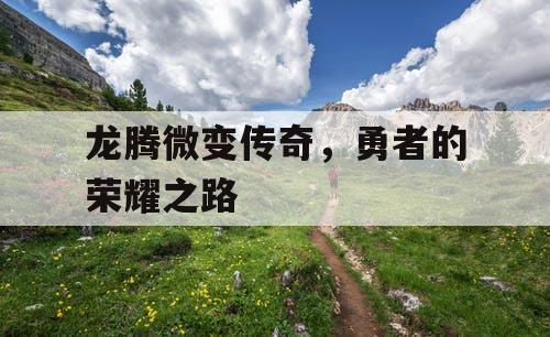 龙腾微变传奇，勇者的荣耀之路