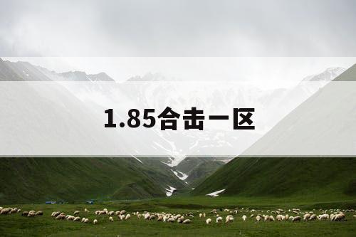 1.85合击一区
