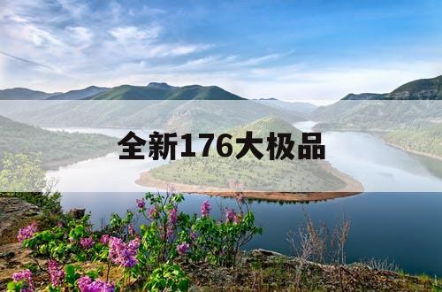 全新176大极品