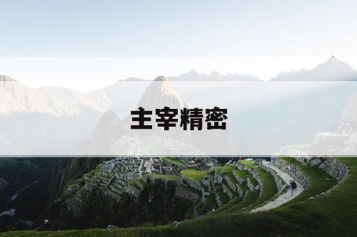 主宰精密