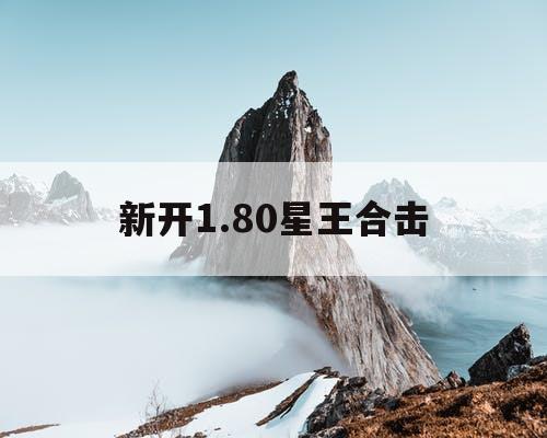 新开1.80星王合击