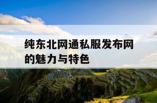 纯东北网通私服发布网的魅力与特色