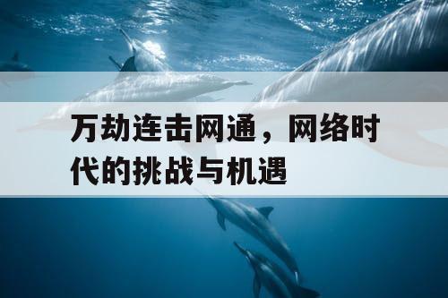 万劫连击网通，网络时代的挑战与机遇