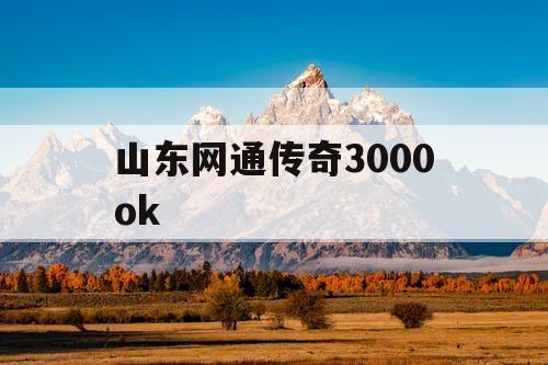 山东网通传奇3000ok