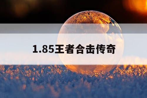 1.85王者合击传奇