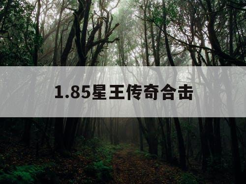 1.85星王传奇合击