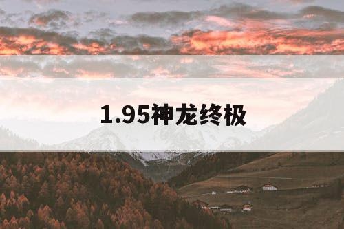 1.95神龙终极