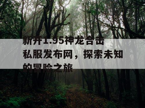 新开1.95神龙合击私服发布网，探索未知的冒险之旅
