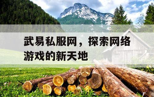 武易私服网，探索网络游戏的新天地