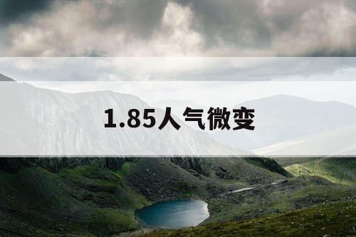 1.85人气微变