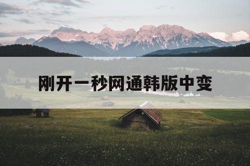 刚开一秒网通韩版中变