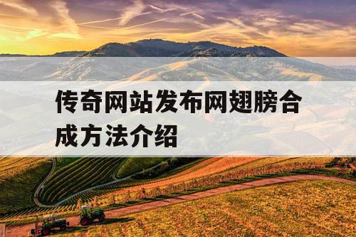 传奇网站发布网翅膀合成方法介绍