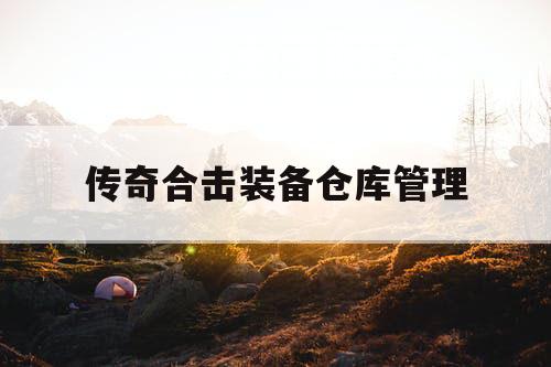 传奇合击装备仓库管理
