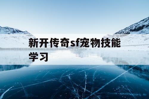 新开传奇sf宠物技能学习