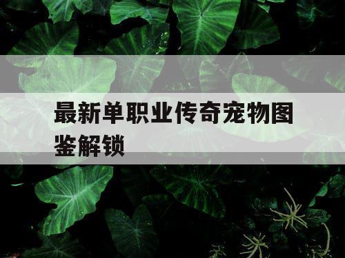 最新单职业传奇宠物图鉴解锁