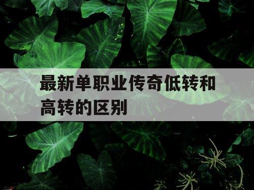最新单职业传奇低转和高转的区别