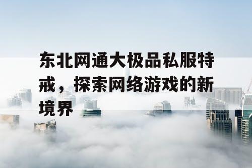 东北网通大极品私服特戒，探索网络游戏的新境界