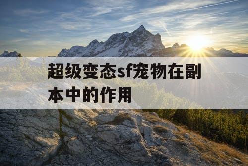 超级变态sf宠物在副本中的作用