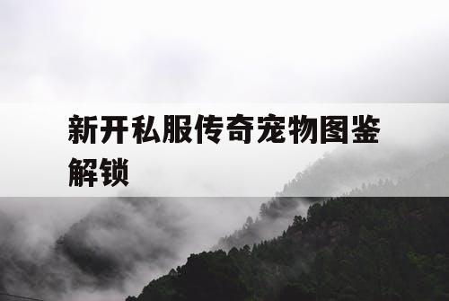 新开私服传奇宠物图鉴解锁