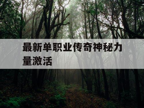 最新单职业传奇神秘力量激活