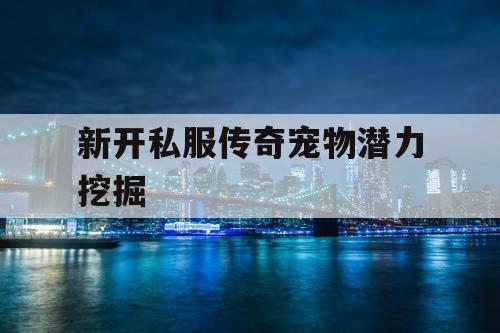 新开私服传奇宠物潜力挖掘