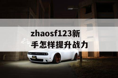 zhaosf123新手怎样提升战力