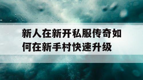 新人在新开私服传奇如何在新手村快速升级