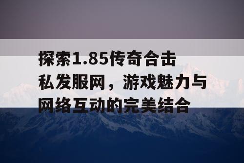 探索1.85传奇合击私发服网，游戏魅力与网络互动的完美结合