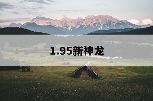 1.95新神龙