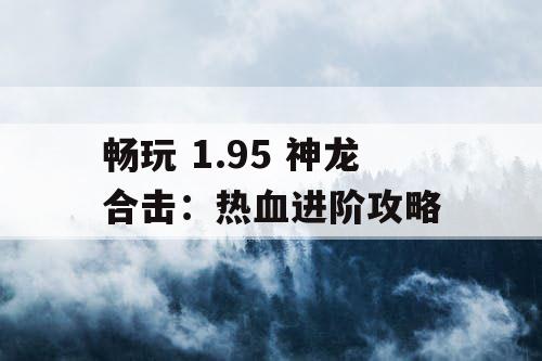 畅玩 1.95 神龙合击：热血进阶攻略