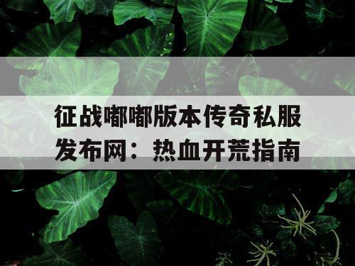征战嘟嘟版本传奇私服发布网：热血开荒指南