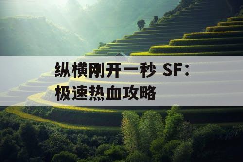 纵横刚开一秒 SF：极速热血攻略